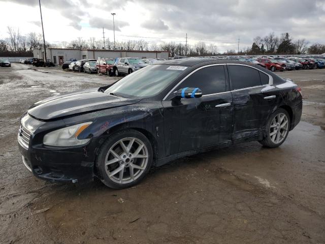 NISSAN MAXIMA 2009 1n4aa51e39c826402