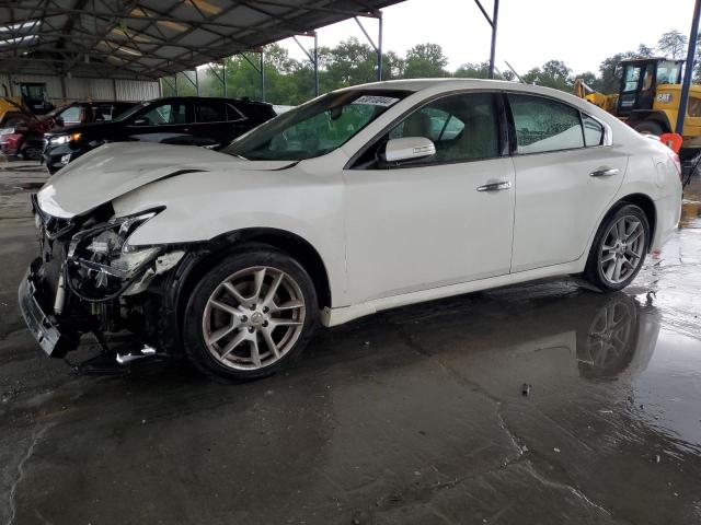 NISSAN MAXIMA 2009 1n4aa51e39c830580