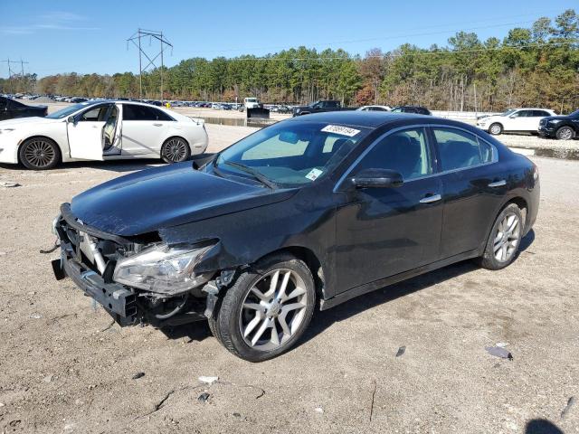 NISSAN MAXIMA 2009 1n4aa51e39c835956