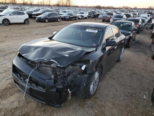 NISSAN MAXIMA 2009 1n4aa51e39c840865