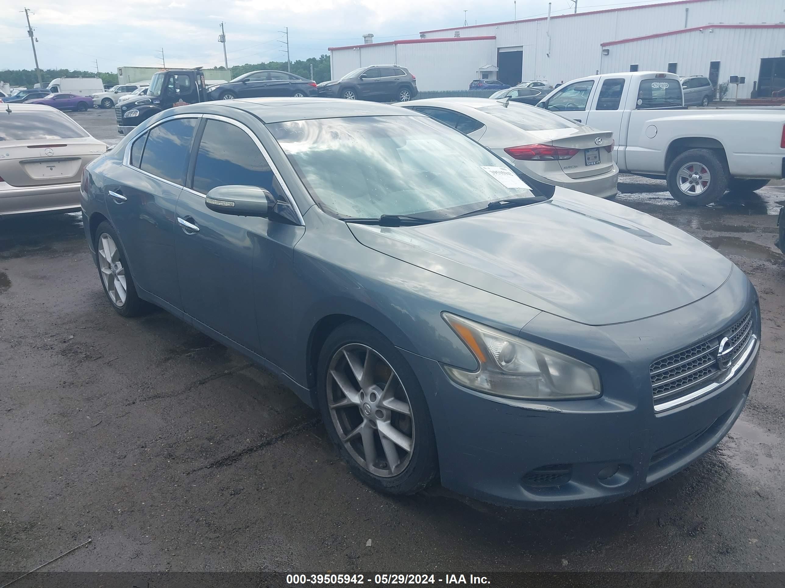 NISSAN MAXIMA 2009 1n4aa51e39c843314