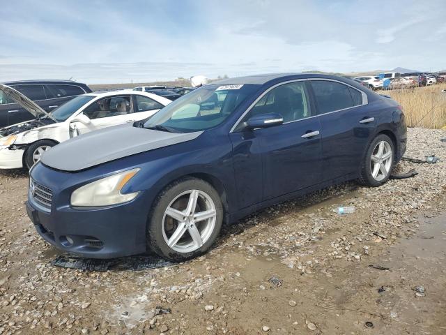 NISSAN MAXIMA 2009 1n4aa51e39c844348