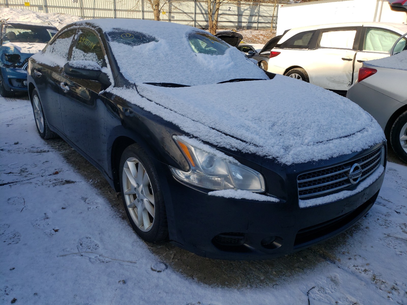 NISSAN MAXIMA 2009 1n4aa51e39c849095