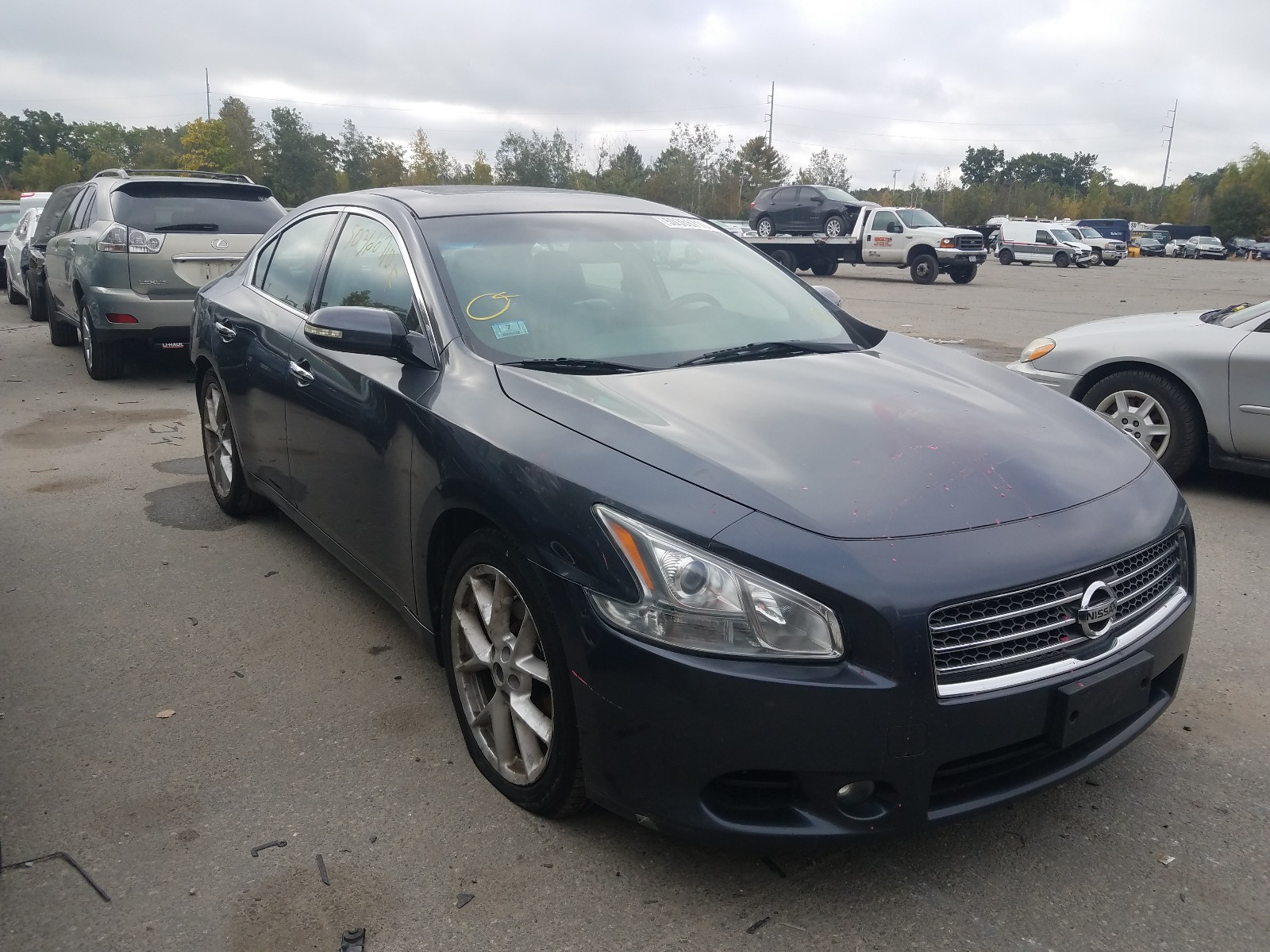 NISSAN MAXIMA S 2009 1n4aa51e39c851560