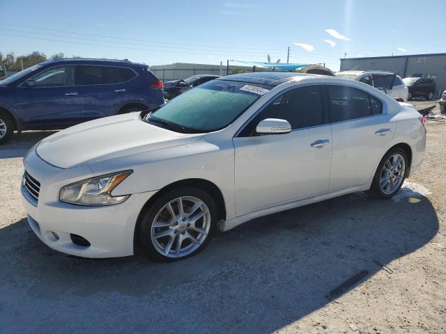 NISSAN MAXIMA 2009 1n4aa51e39c860145