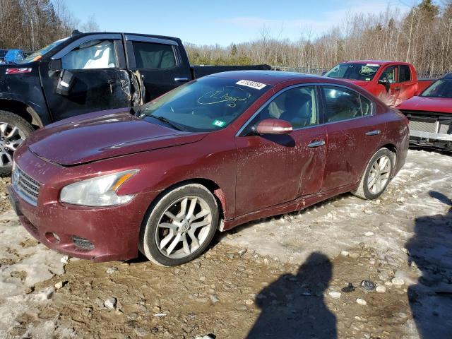 NISSAN MAXIMA 2009 1n4aa51e39c860503