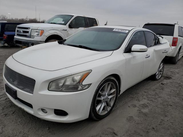 NISSAN MAXIMA 2009 1n4aa51e49c803887