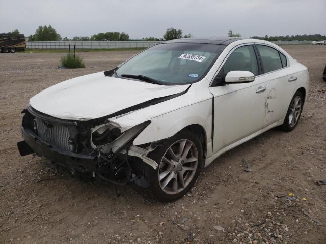 NISSAN MAXIMA 2009 1n4aa51e49c816624