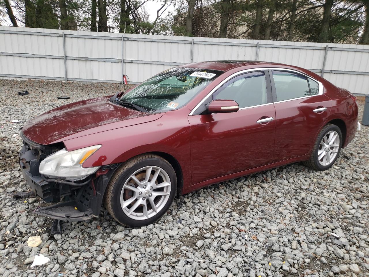 NISSAN MAXIMA 2009 1n4aa51e49c818213