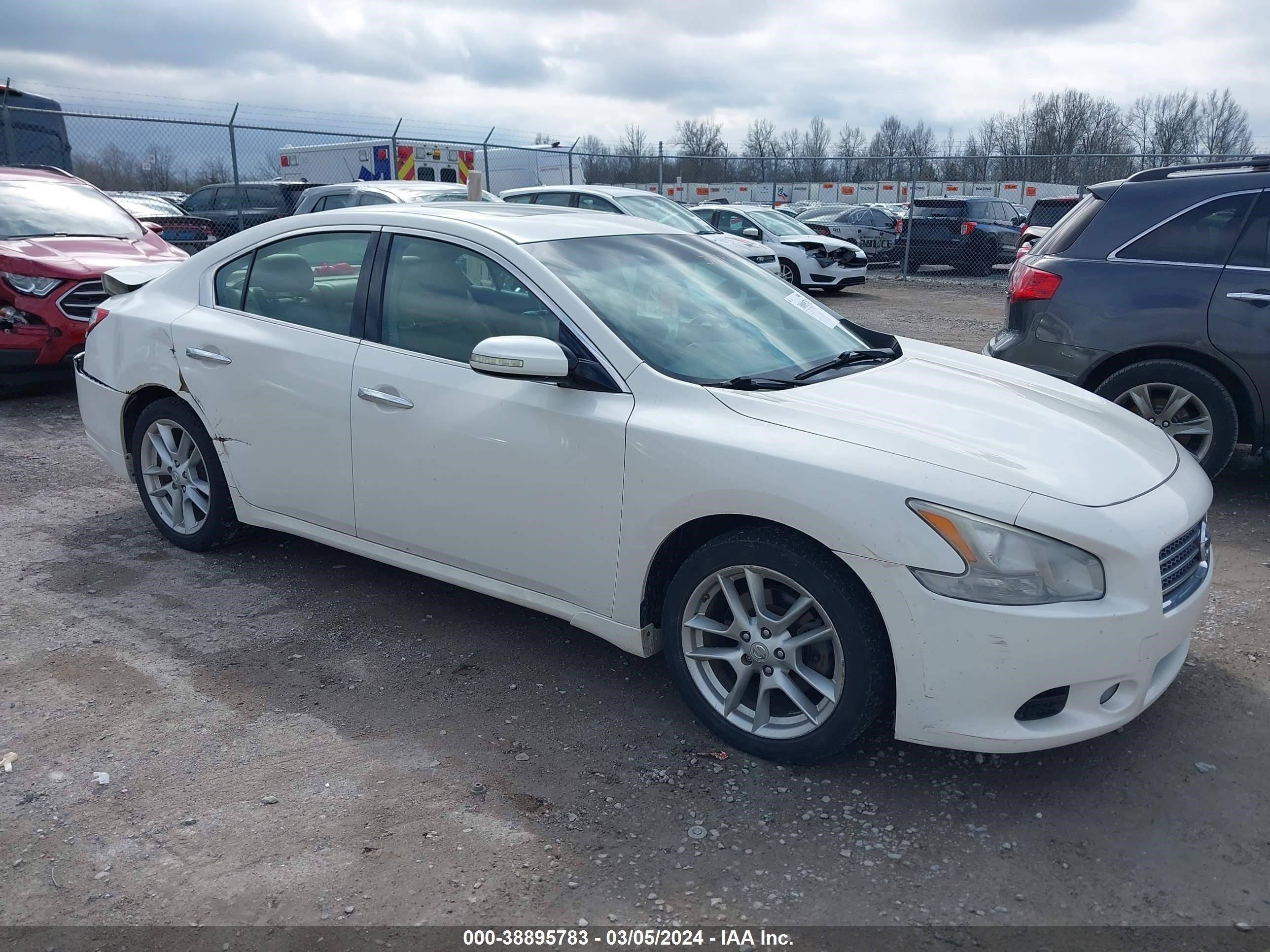 NISSAN MAXIMA 2009 1n4aa51e49c818776