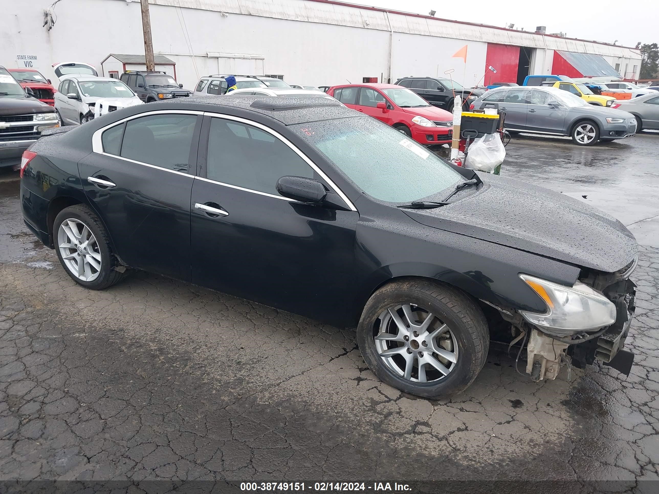 NISSAN MAXIMA 2009 1n4aa51e49c823444