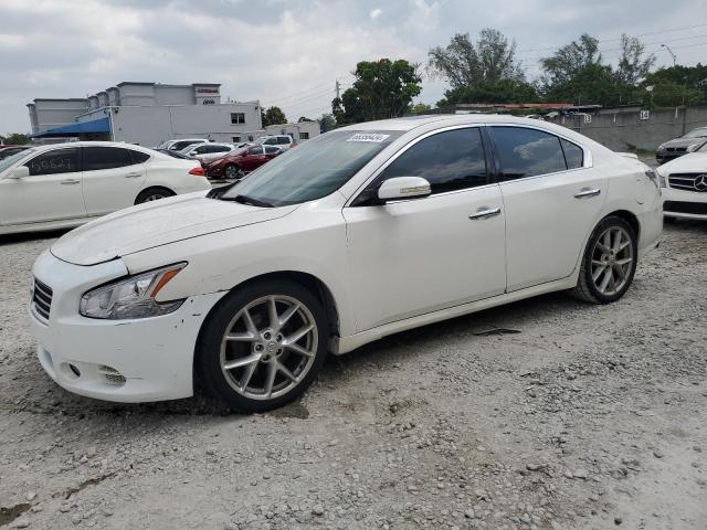 NISSAN MAXIMA S 2009 1n4aa51e49c836162