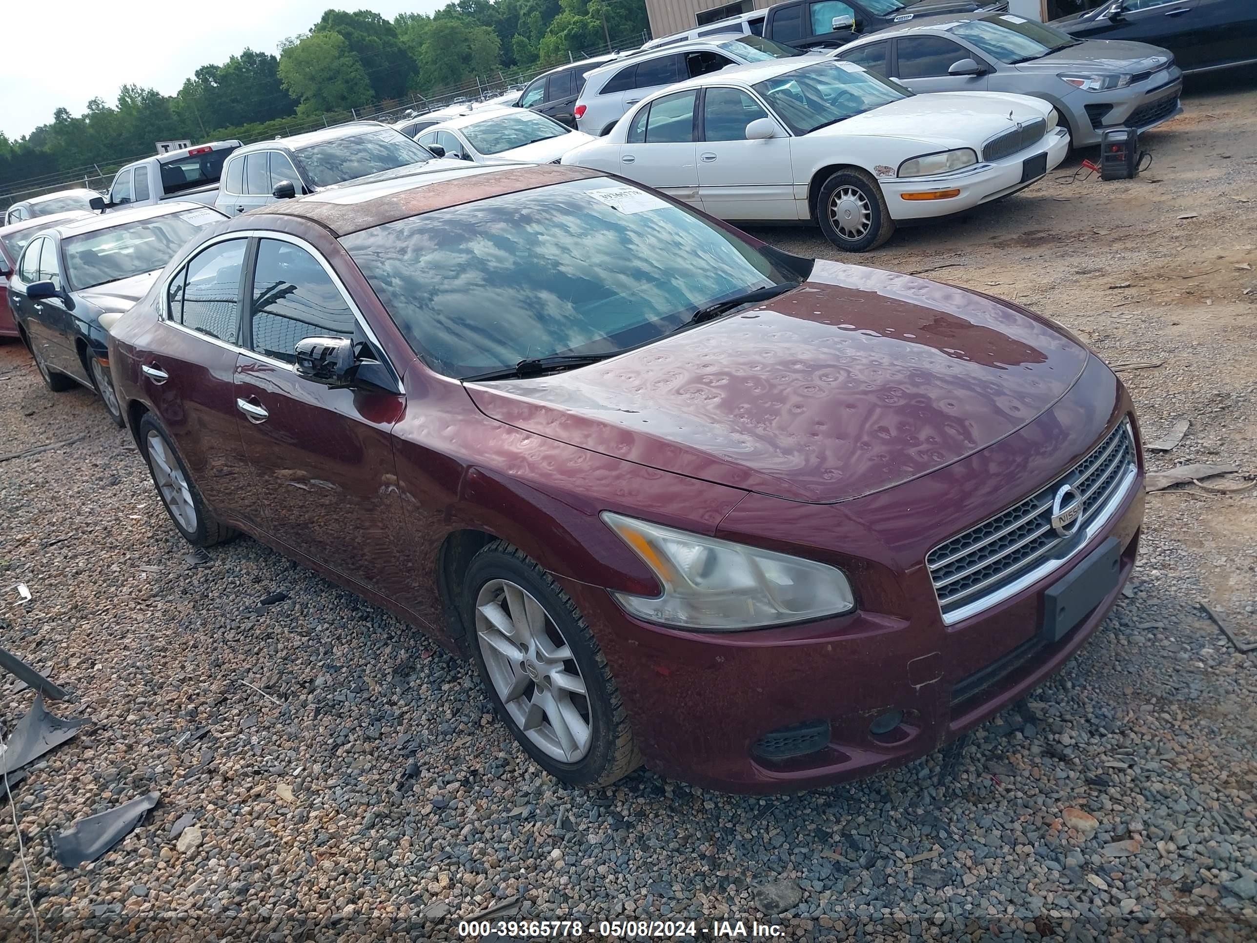 NISSAN MAXIMA 2009 1n4aa51e49c839515