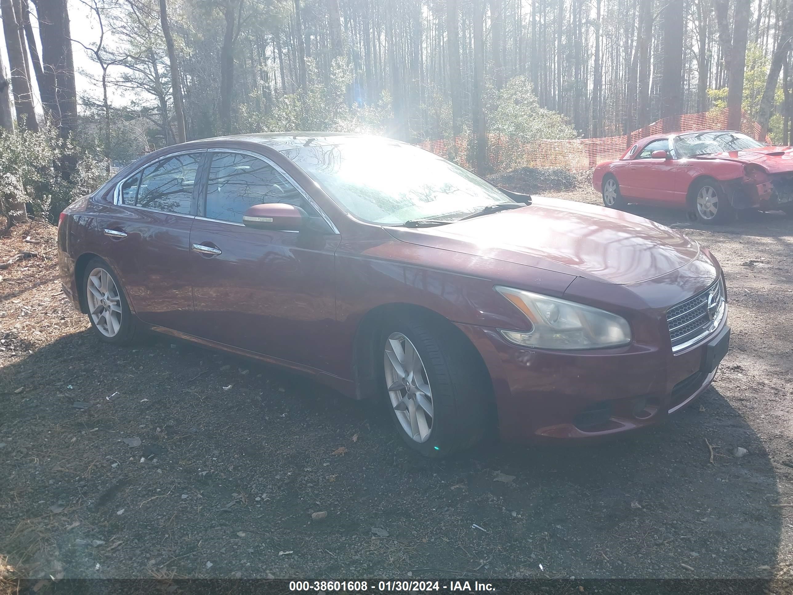 NISSAN MAXIMA 2009 1n4aa51e49c844777