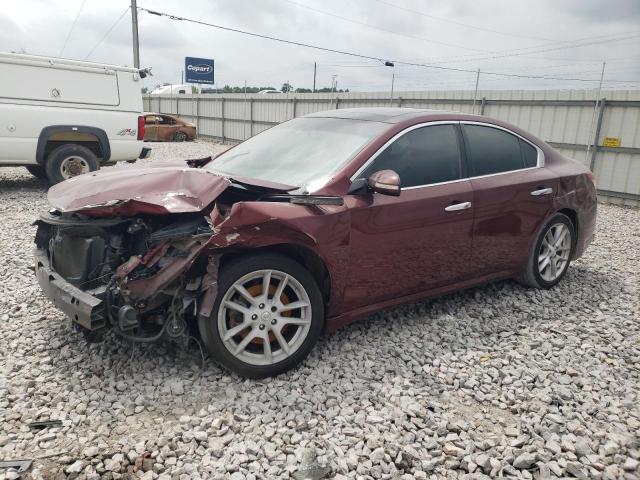 NISSAN MAXIMA 2009 1n4aa51e49c845296