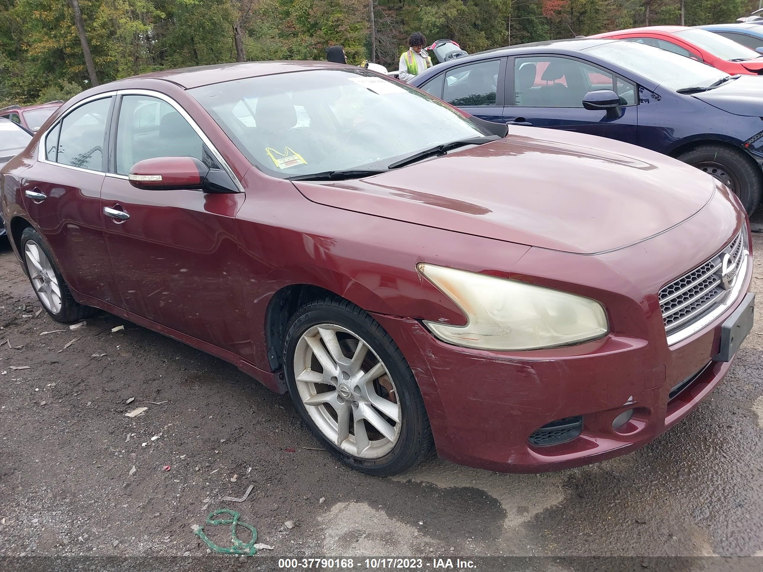 NISSAN MAXIMA 2009 1n4aa51e49c846142