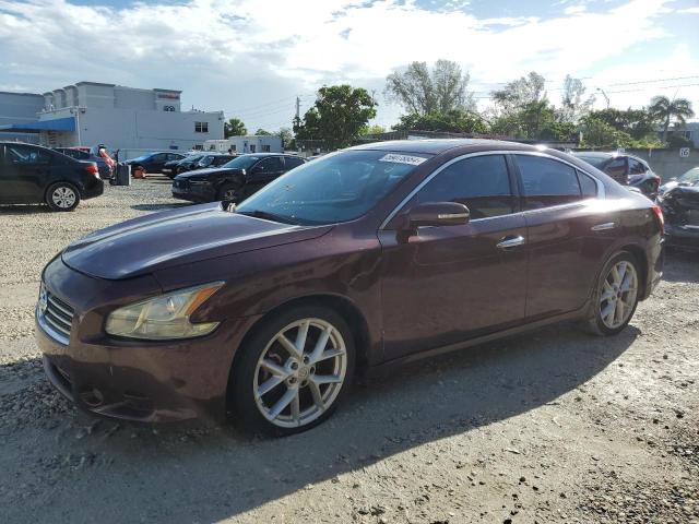 NISSAN MAXIMA 2009 1n4aa51e59c828507