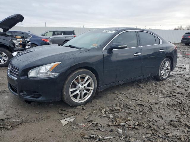 NISSAN MAXIMA 2009 1n4aa51e59c828846