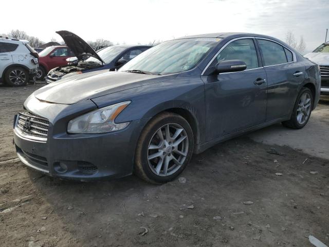 NISSAN MAXIMA 2009 1n4aa51e59c829494