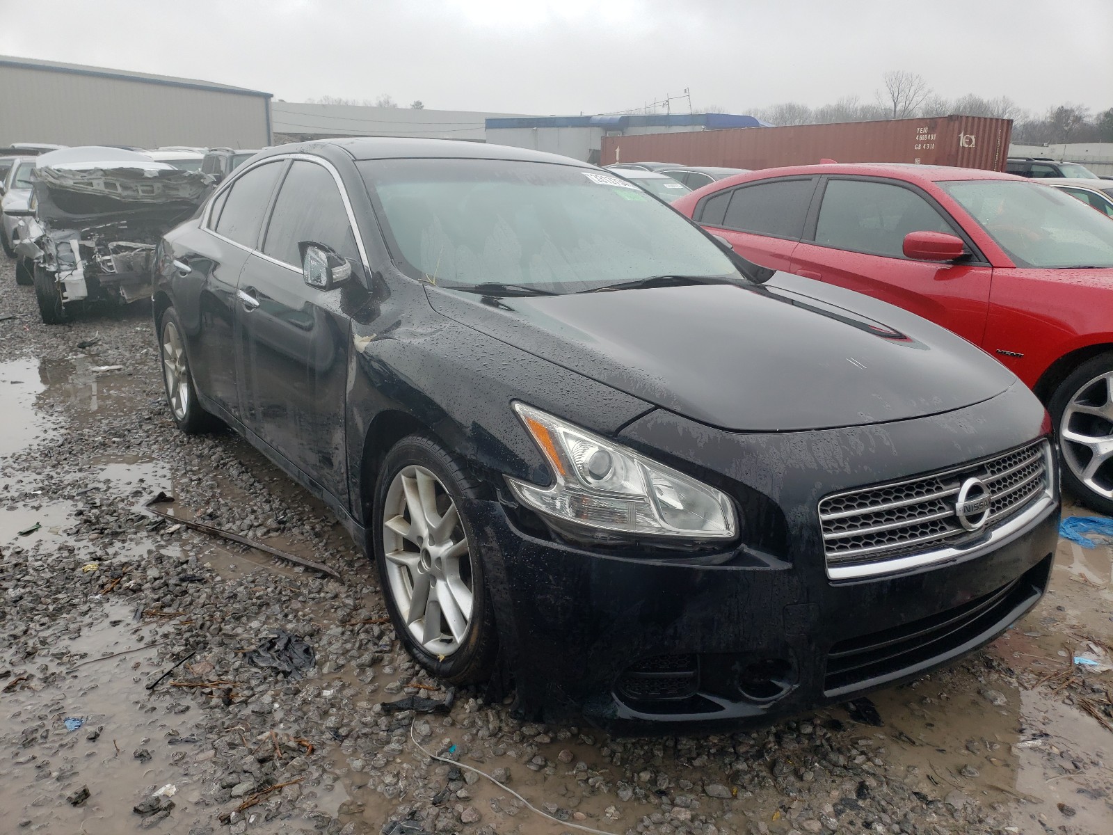 NISSAN MAXIMA S 2009 1n4aa51e59c847266