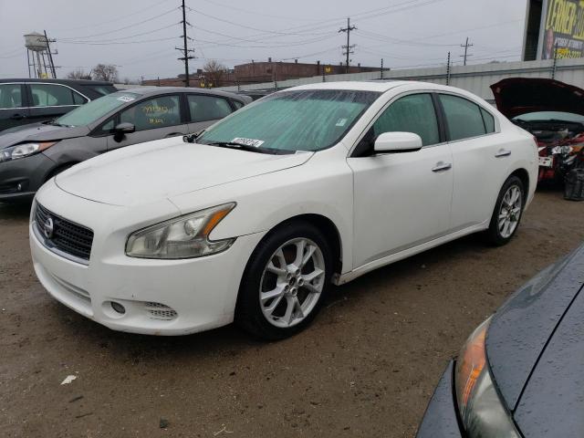 NISSAN MAXIMA 2009 1n4aa51e59c856274