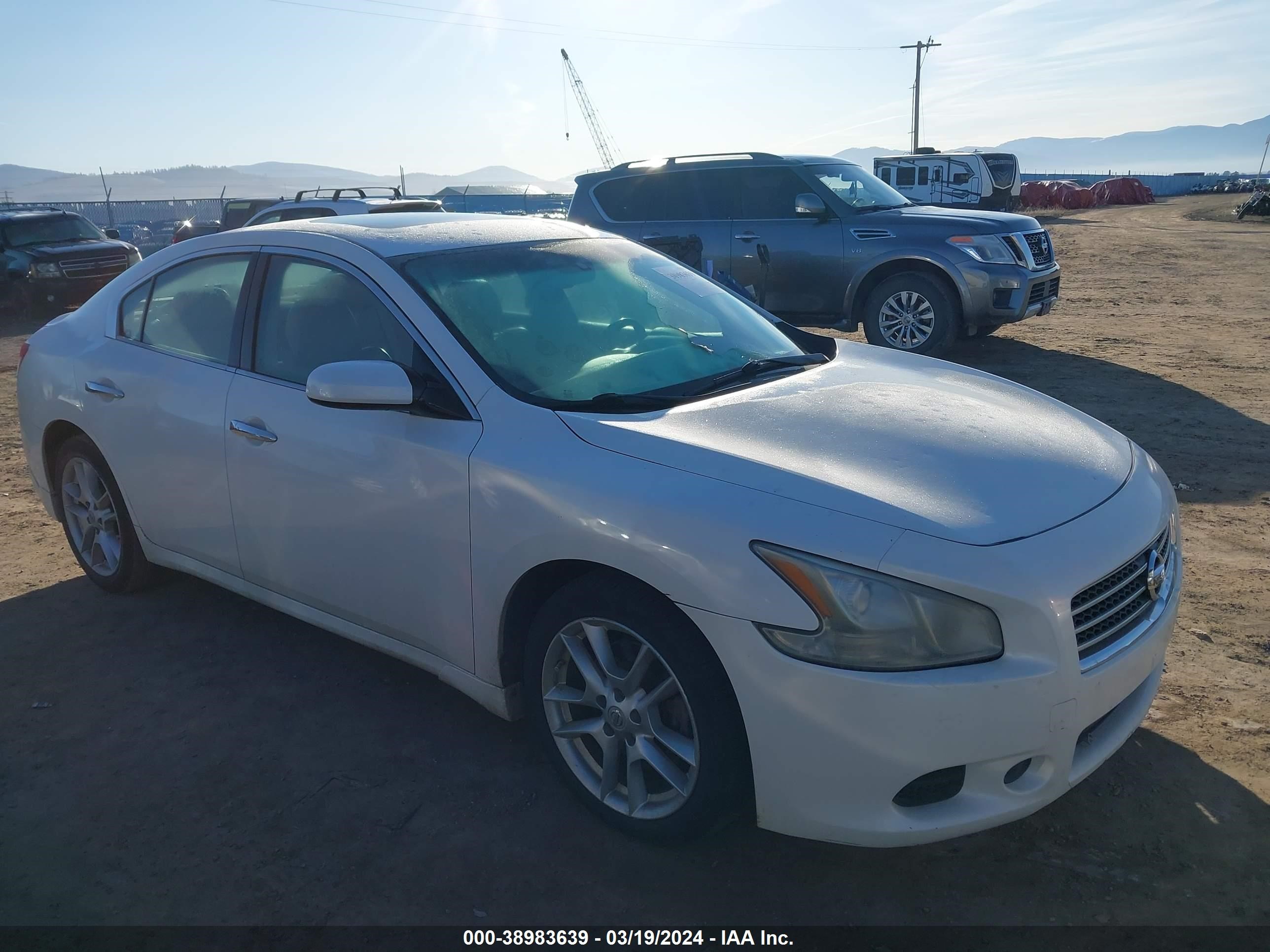 NISSAN MAXIMA 2009 1n4aa51e59c858350