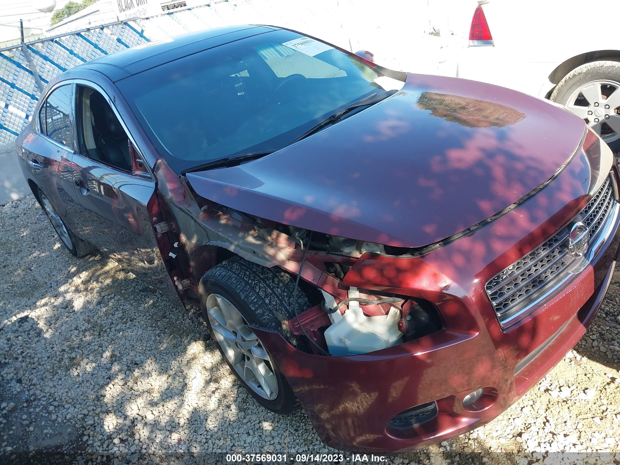 NISSAN MAXIMA 2009 1n4aa51e59c859577