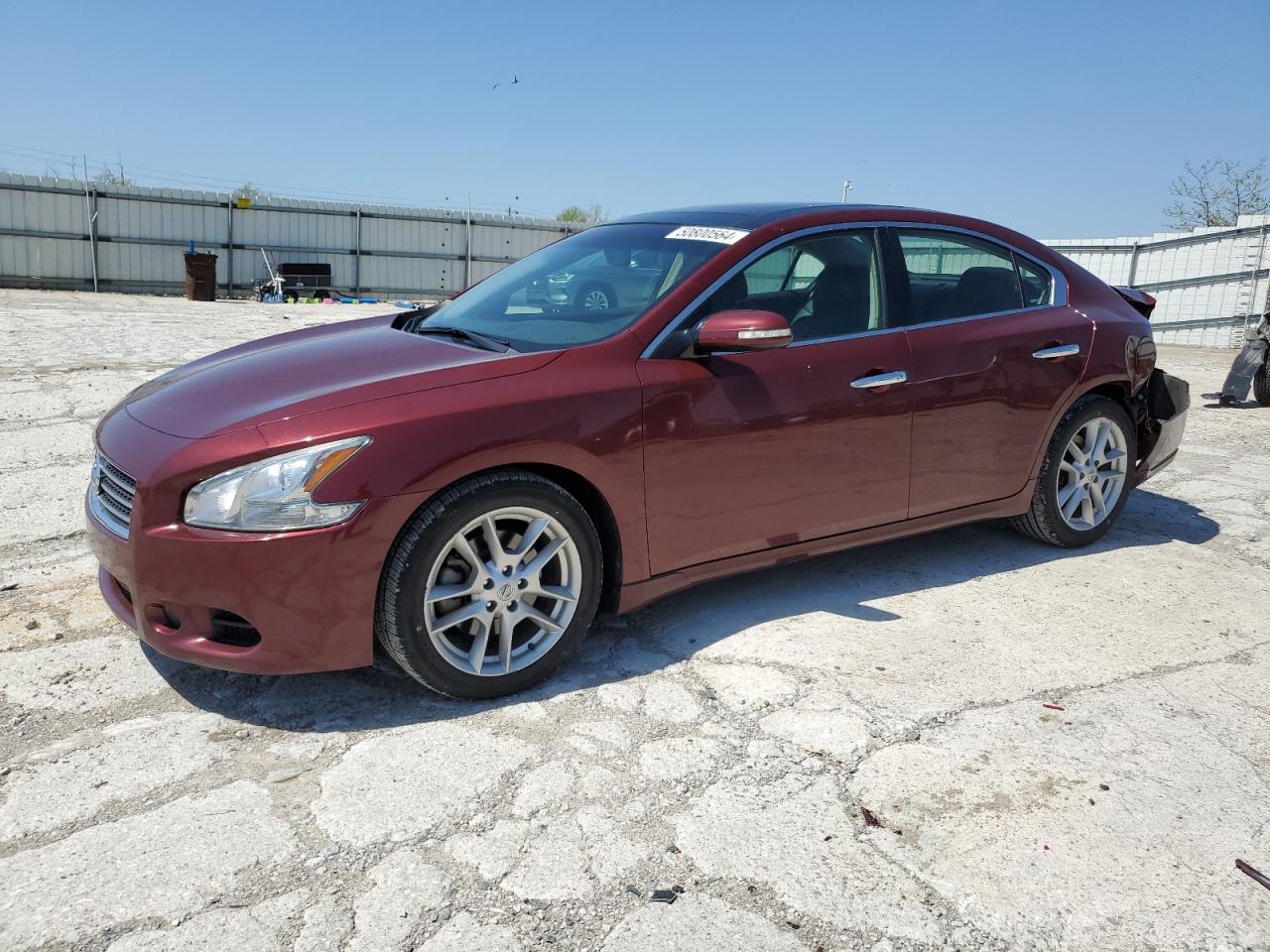 NISSAN MAXIMA 2009 1n4aa51e59c861538