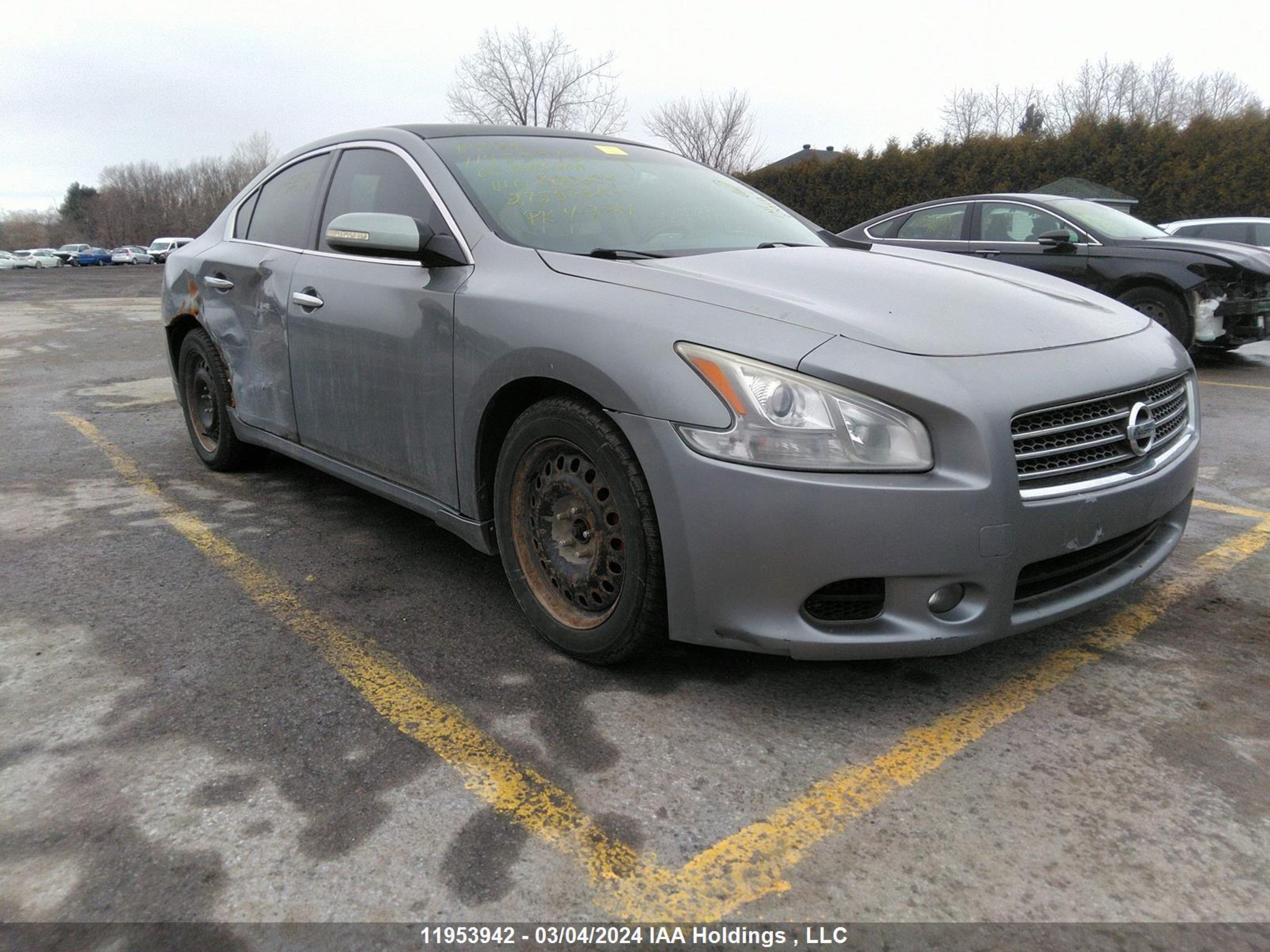 NISSAN MAXIMA 2009 1n4aa51e69c800604