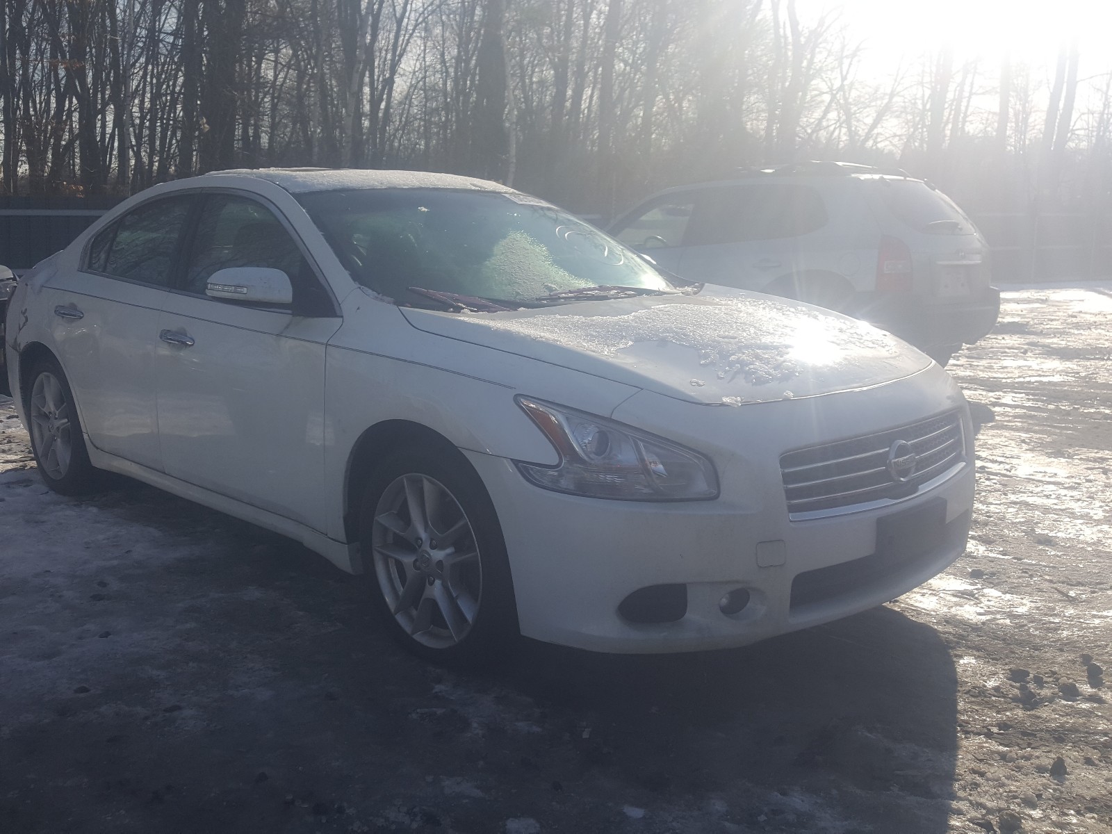 NISSAN MAXIMA S 2009 1n4aa51e69c801171