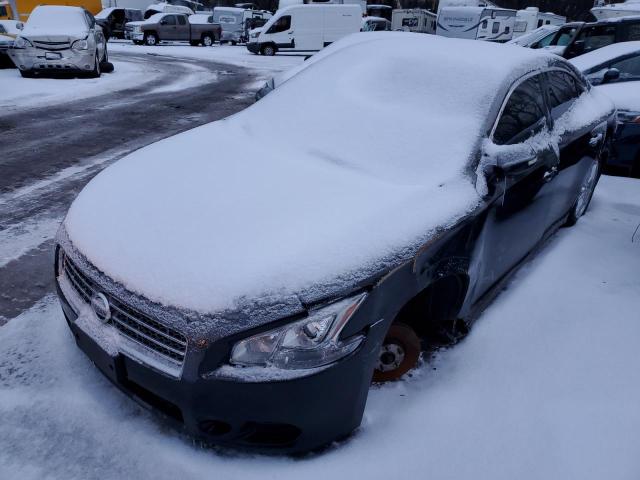 NISSAN MAXIMA 2009 1n4aa51e69c813465