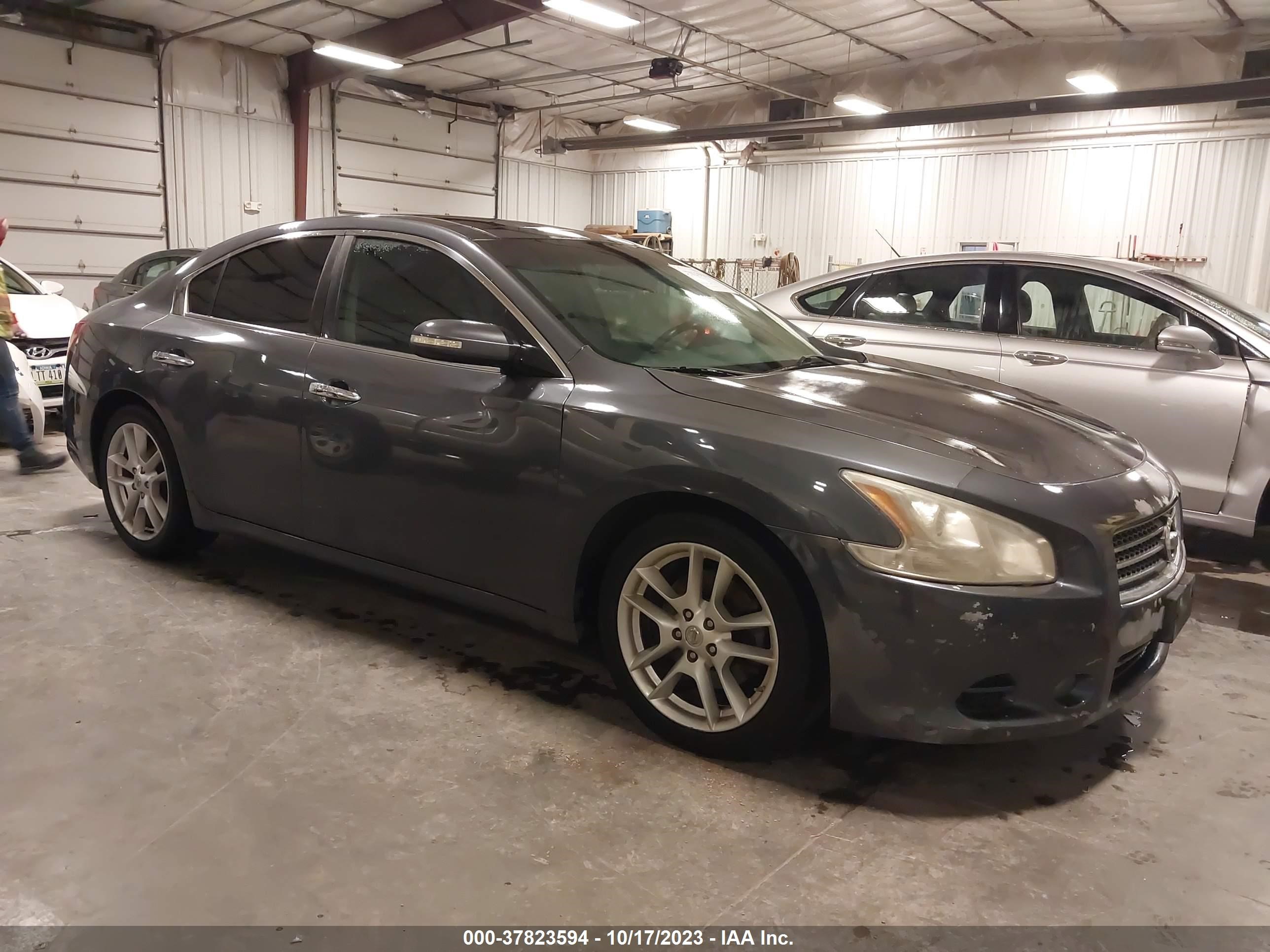 NISSAN MAXIMA 2009 1n4aa51e79c806850