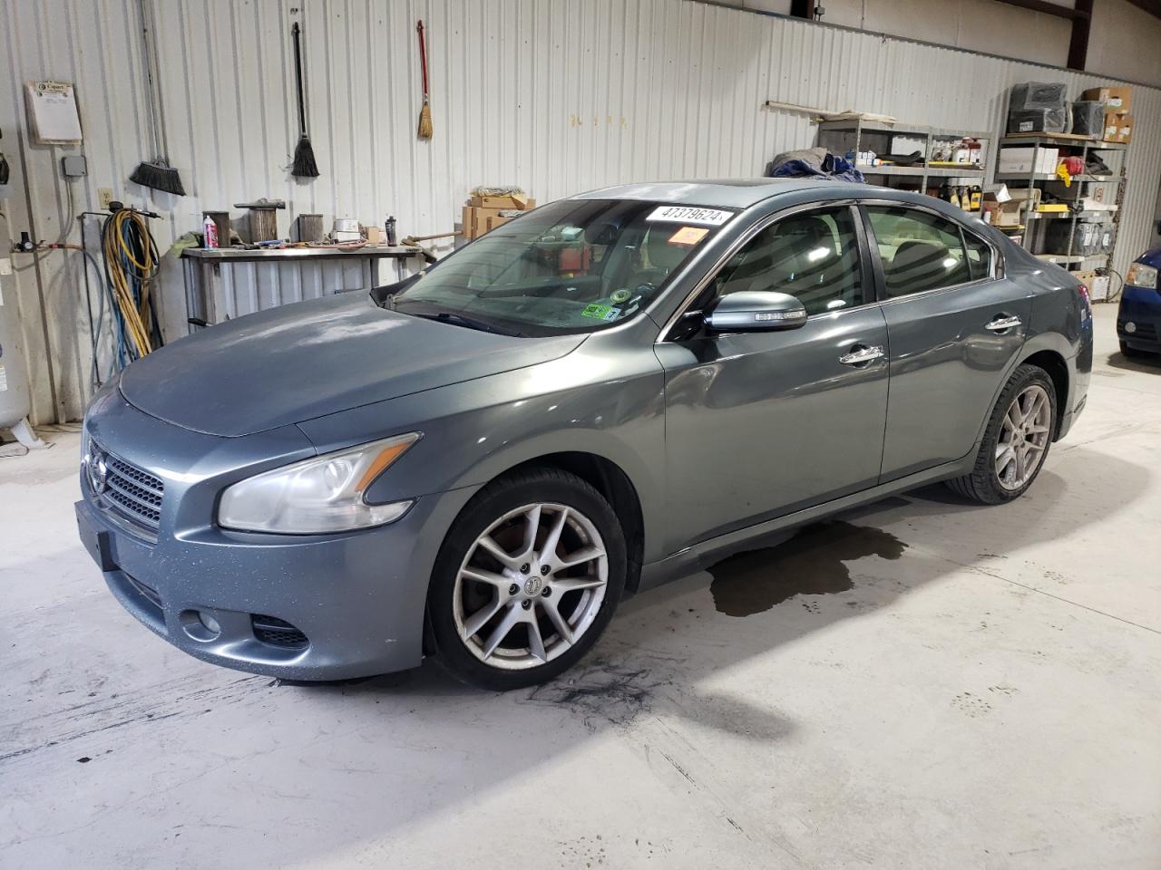 NISSAN MAXIMA 2009 1n4aa51e79c812700