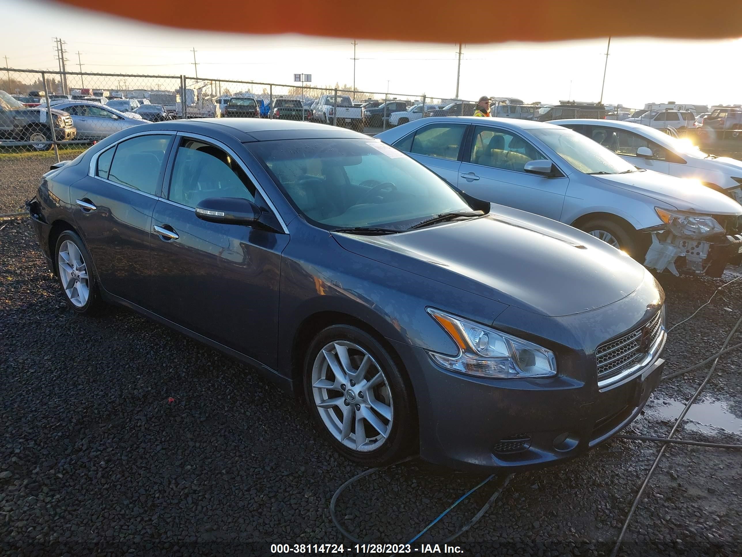 NISSAN MAXIMA 2009 1n4aa51e79c819923