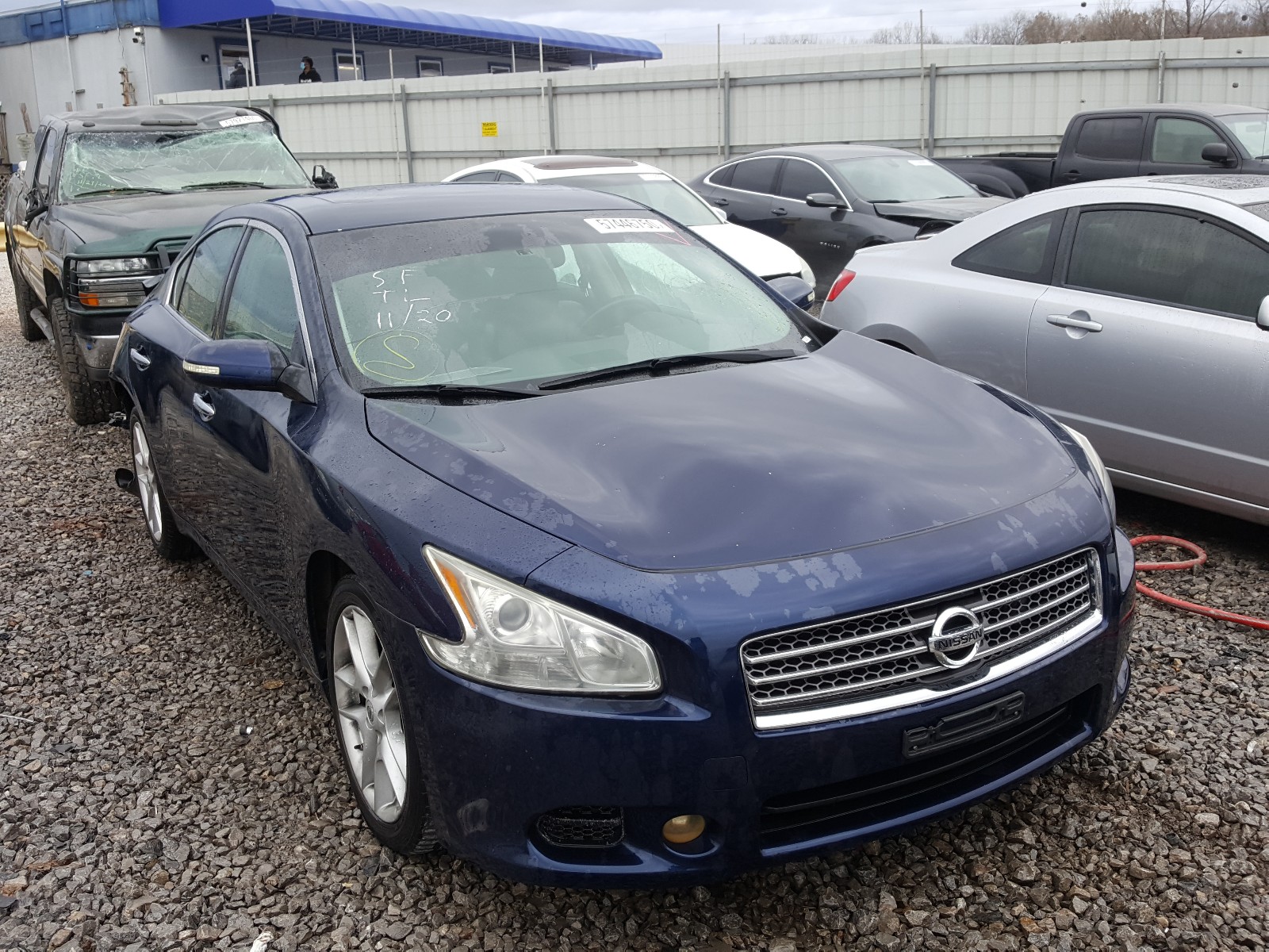 NISSAN MAXIMA S 2009 1n4aa51e79c826712