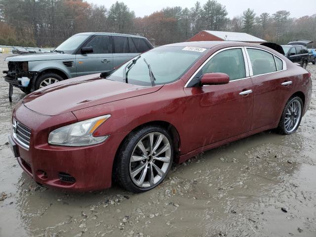 NISSAN MAXIMA 2009 1n4aa51e89c830610