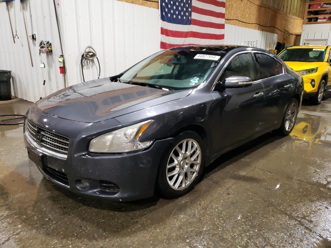 NISSAN MAXIMA 2009 1n4aa51e89c831188