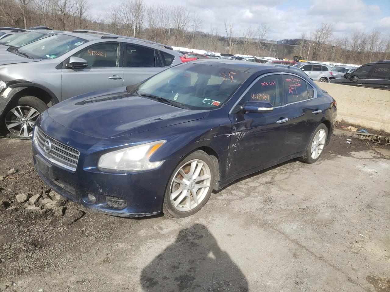 NISSAN MAXIMA 2009 1n4aa51e99c822385