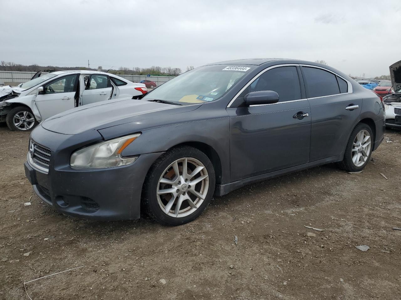 NISSAN MAXIMA 2009 1n4aa51e99c824413