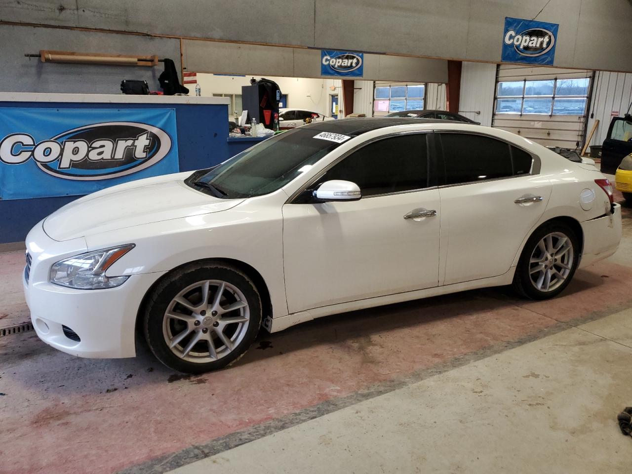 NISSAN MAXIMA 2009 1n4aa51e99c859209