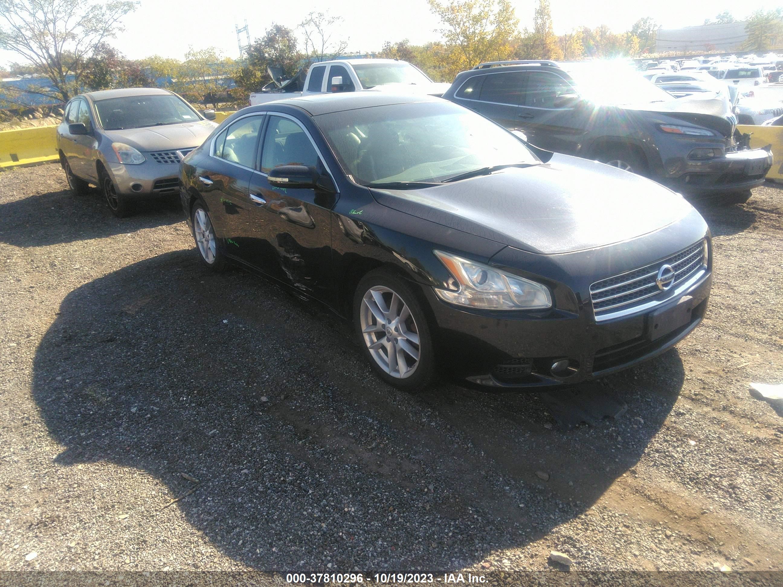 NISSAN MAXIMA 2009 1n4aa51ex9c800265