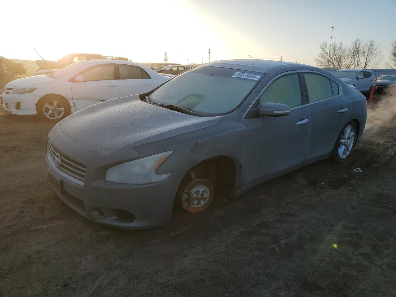 NISSAN MAXIMA 2009 1n4aa51ex9c837154