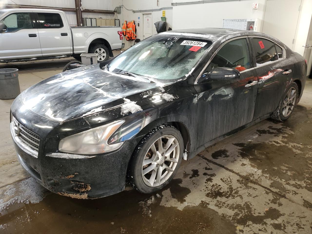 NISSAN MAXIMA 2009 1n4aa51ex9c844413