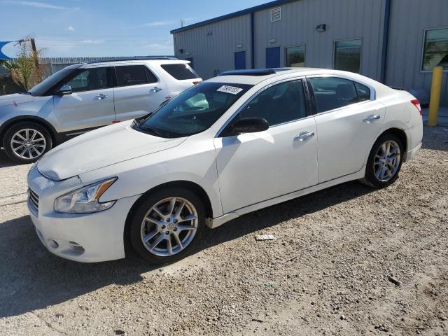 NISSAN MAXIMA 2009 1n4aa51ex9c850566