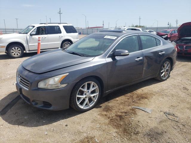 NISSAN MAXIMA S 2009 1n4aa51ex9c850731