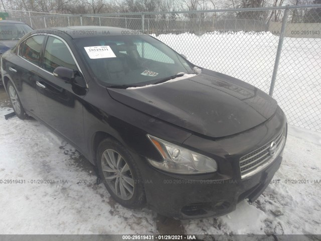 NISSAN MAXIMA 2010 1n4aa5ap0ac800524