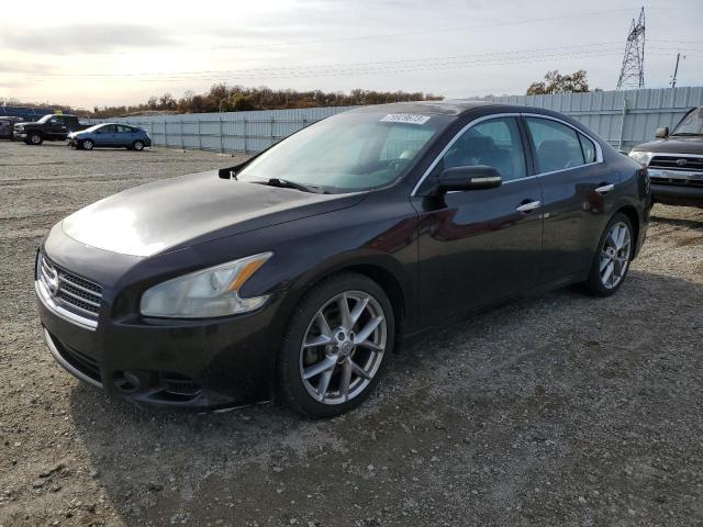 NISSAN MAXIMA 2010 1n4aa5ap0ac808980