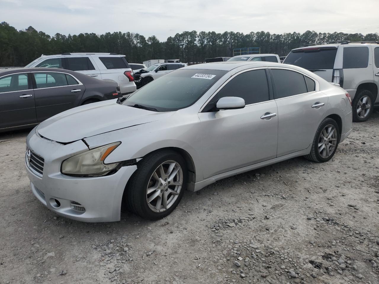 NISSAN MAXIMA 2010 1n4aa5ap0ac814665