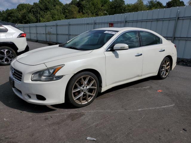 NISSAN NULL 2010 1n4aa5ap0ac819753