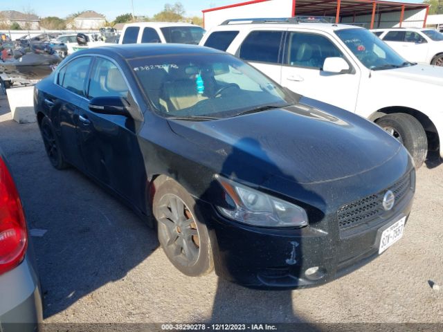 NISSAN MAXIMA 2010 1n4aa5ap0ac828971